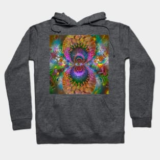 Vivid visions Hoodie